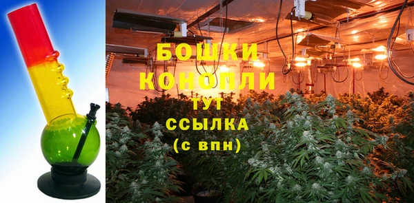 индика Балахна