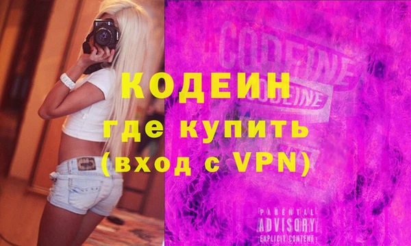 индика Балахна