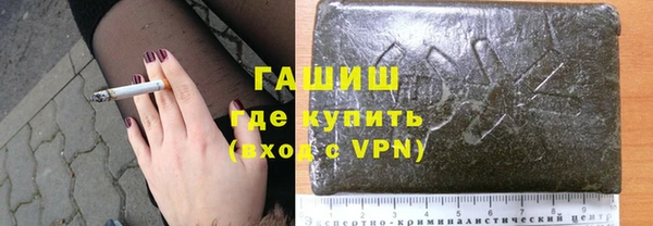 индика Балахна