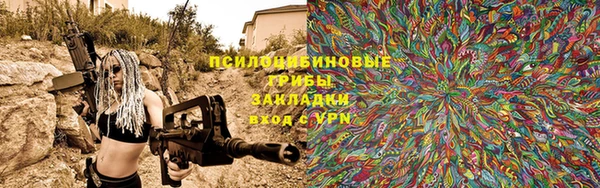 индика Балахна