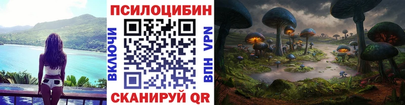 Псилоцибиновые грибы Psilocybine cubensis  где купить наркоту  нарко площадка Telegram  Гудермес 